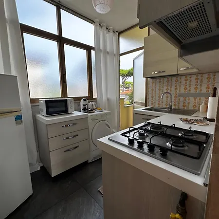 L'orchidea_holiday Διαμέρισμα Camaiore